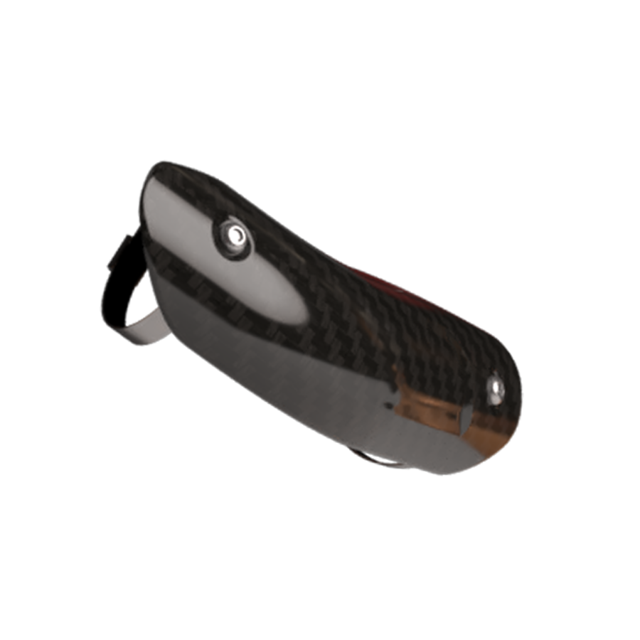 Heat Shield Pan America Carbon Gloss